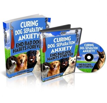 eCover representing Curing Dog Separation Blog eBooks & Reports/Videos, Tutorials & Courses with Private Label Rights