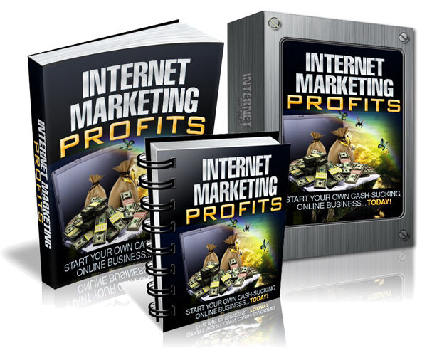 eCover representing Internet Marketing Profits eBooks & Reports with Master Resell Rights