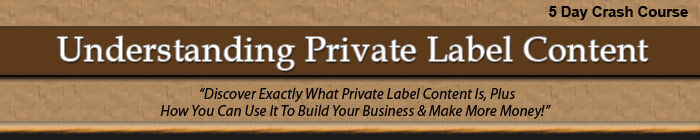eCover representing Understanding Private Label Content - 5 Day Crash Course! eBooks & Reports with Private Label Rights