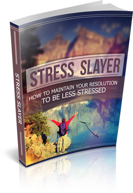 eCover representing Stress Slayer eBooks & Reports with Master Resell Rights