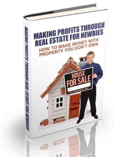 eCover representing Making Profits Through Real Estate For Newbies eBooks & Reports with Master Resell Rights