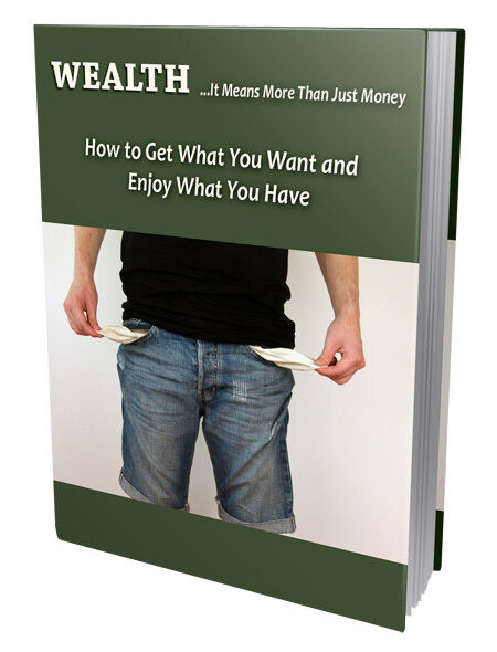 eCover representing Wealthy Report eBooks & Reports with Private Label Rights