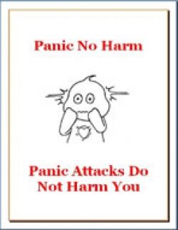 eCover representing Panic No Harm eBooks & Reports with Resell Rights
