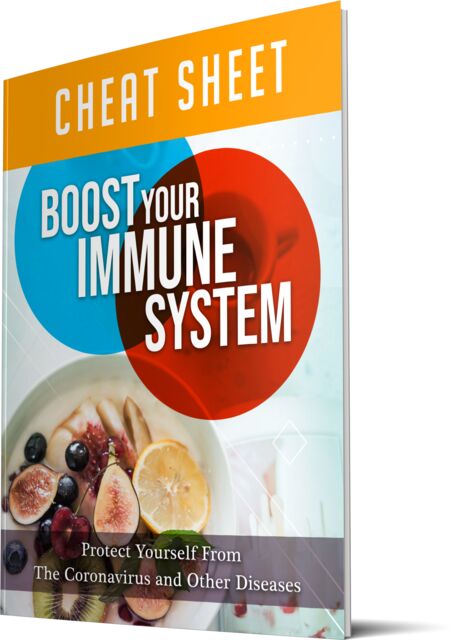 eCover representing Boost Your Immune System eBooks & Reports with Master Resell Rights