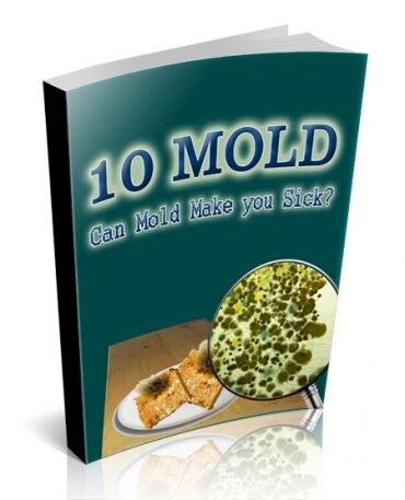 eCover representing 10 Mold PLR Articles  with 