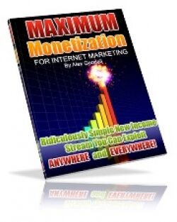 eCover representing Maximum Monetization For Internet Marketing eBooks & Reports with Resell Rights