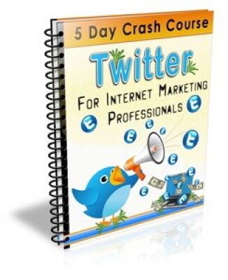 eCover representing Twitter For Internet Marketing Professionals eBooks & Reports with Private Label Rights