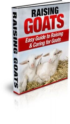 eCover representing Raising Goats eBooks & Reports with Master Resell Rights